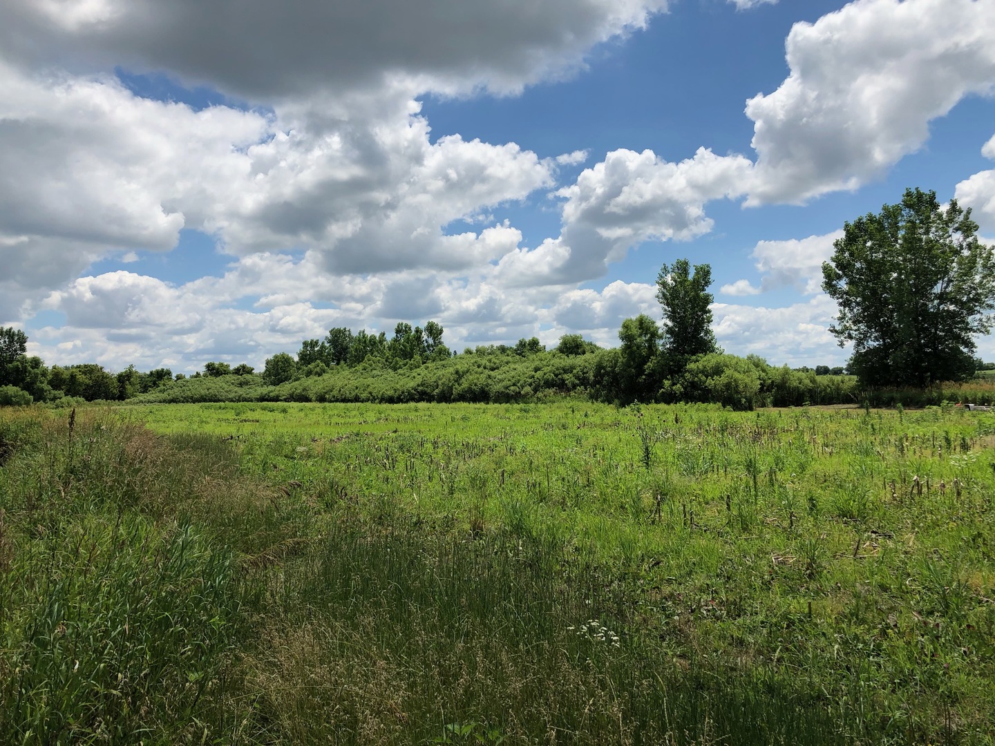 0 West Anthony Road Marengo, IL 60152 - Photo 2 of 19
