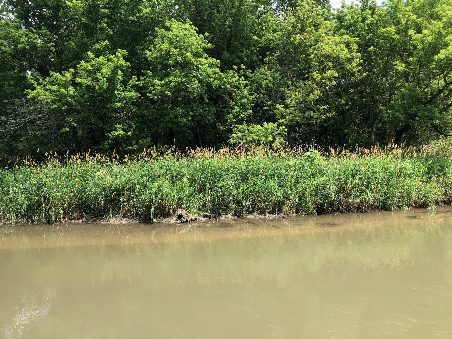 0 West Anthony Road Marengo, IL 60152 - Photo 11 of 19