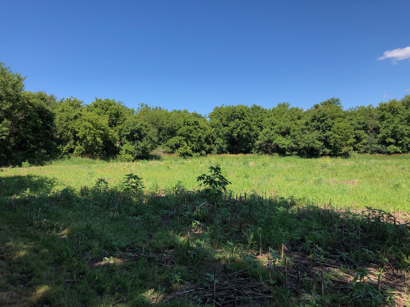 0 West Anthony Road Marengo, IL 60152 - Photo 12 of 19