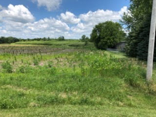 0 West Anthony Road Marengo, IL 60152 - Photo 13 of 19