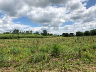 0 West Anthony Road Marengo, IL 60152 - Photo 15 of 19