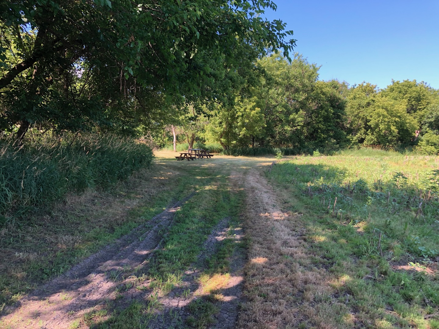 0 West Anthony Road Marengo, IL 60152 - Photo 4 of 19