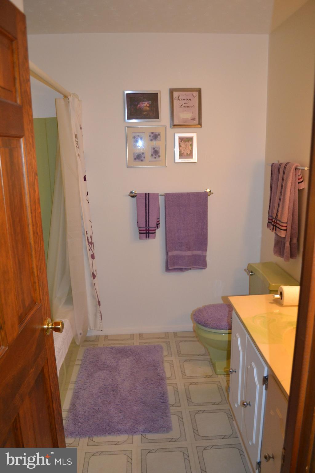 611 Westgate Road Aberdeen, MD 21001 - Photo 20 of 21 Hall Bathroom