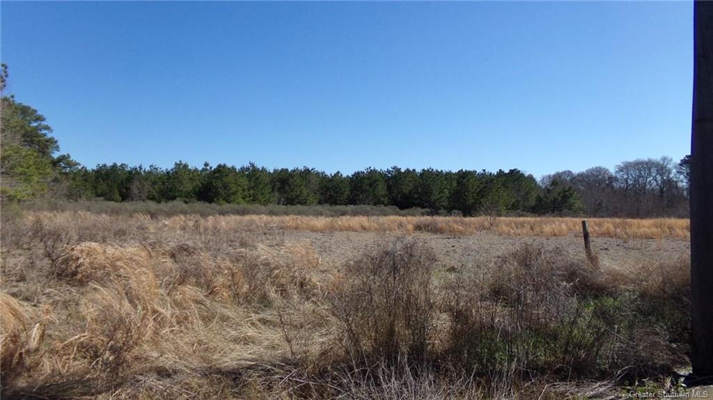 0 Powell Road Elton, LA 70532 - Photo 3 of 4 Gallery Image 3