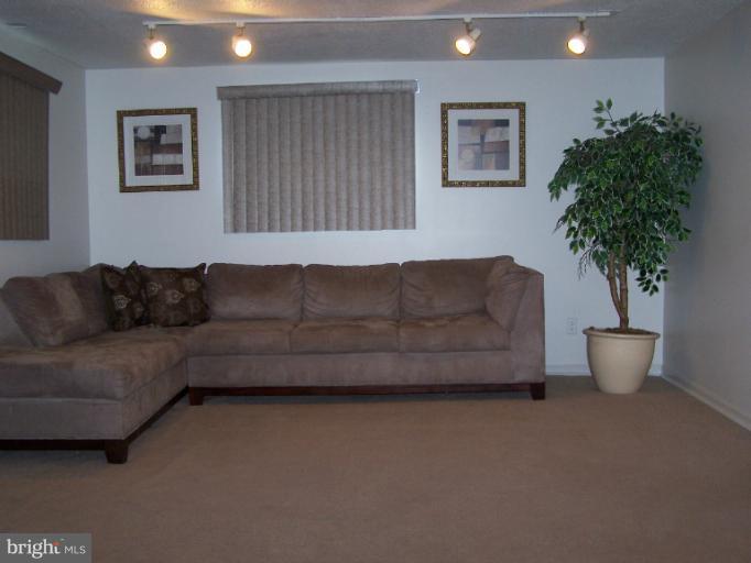 5923 Johnnycake Road Baltimore, MD 21207 - Photo 5 of 30 Basement