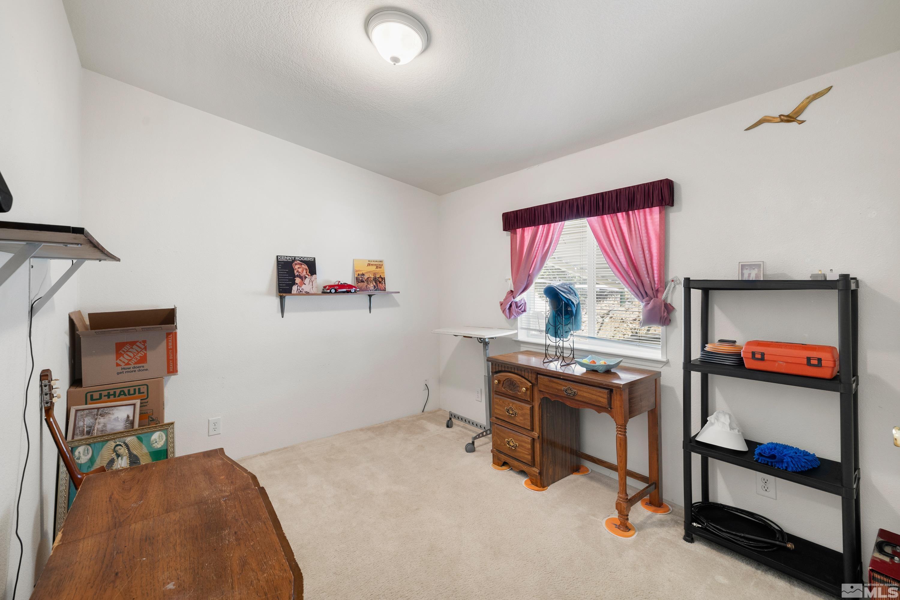 256 Linehan Road Carson City, NV 89706 - Photo 4 of 20 Photo 4