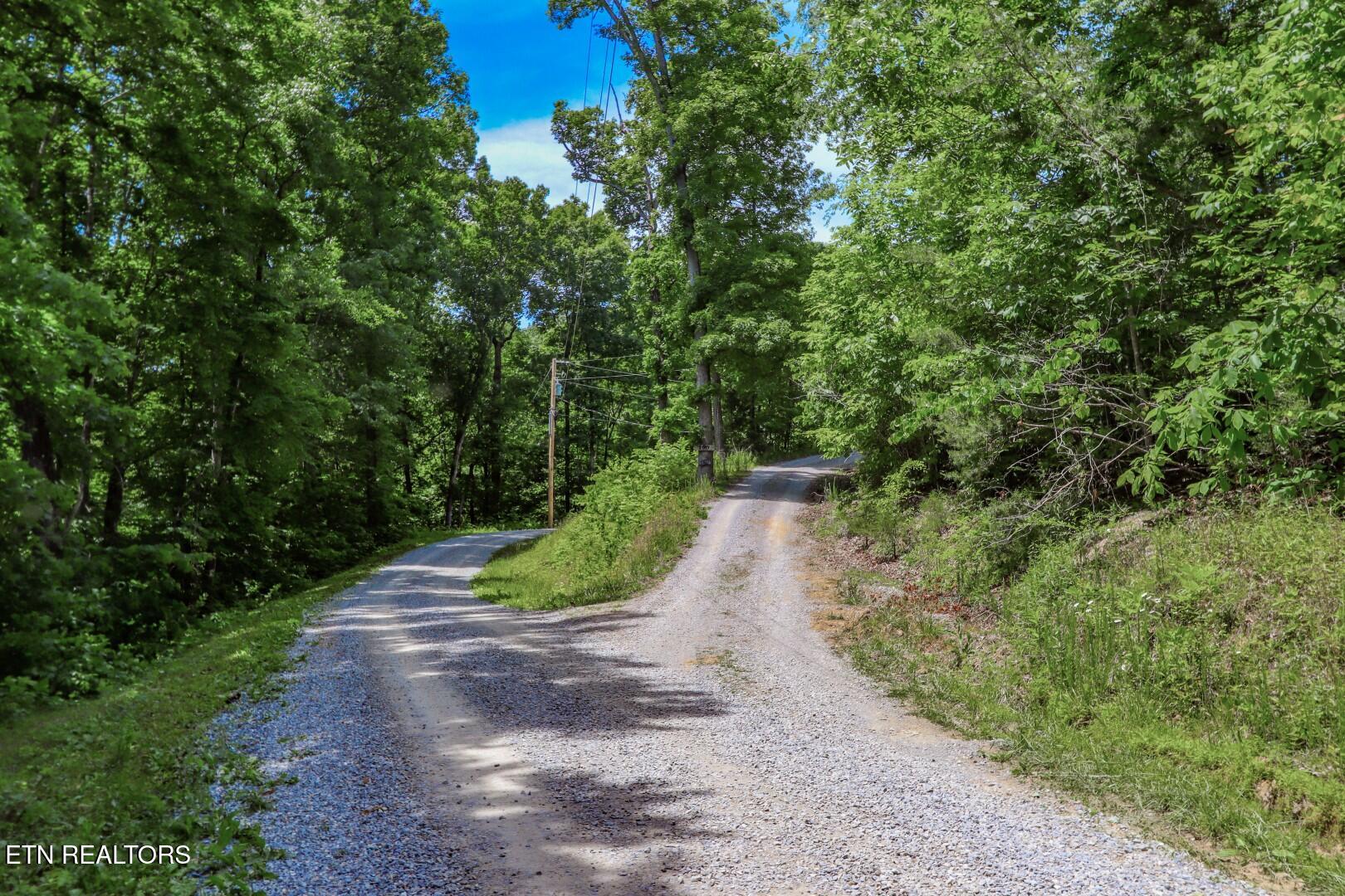 180 Shiloh Road Parrottsville, TN 37843 - Photo 34 of 41 34