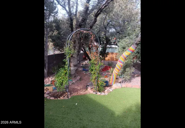 a view of a garden with plants and a bench