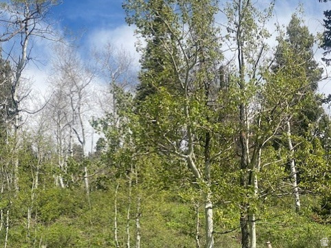 1798 West Alexander Road, Unit G65 Coalville, UT 84017 - Photo 5 of 11 Natural landscape featuring mature trees, verdant undergrowth, and a clear blue sky