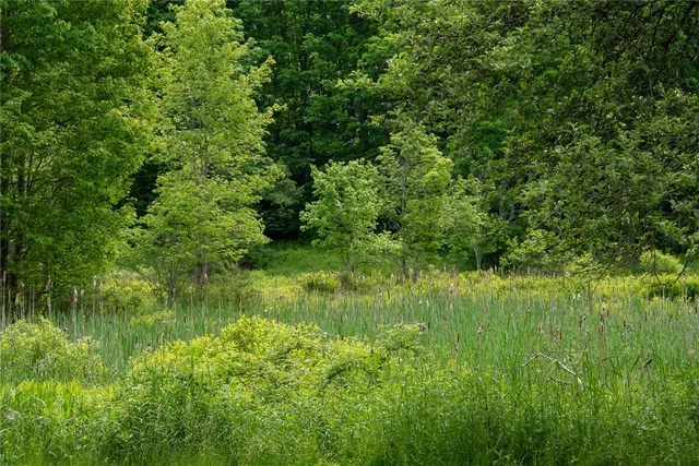 $679,000 | 270 Lower Main Street, Andes, NY 13731