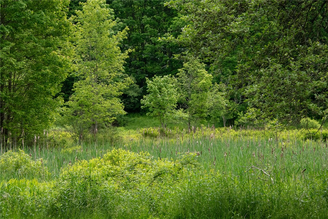 270 Lower Main Street Andes, NY 13731 - Photo 33 of 34