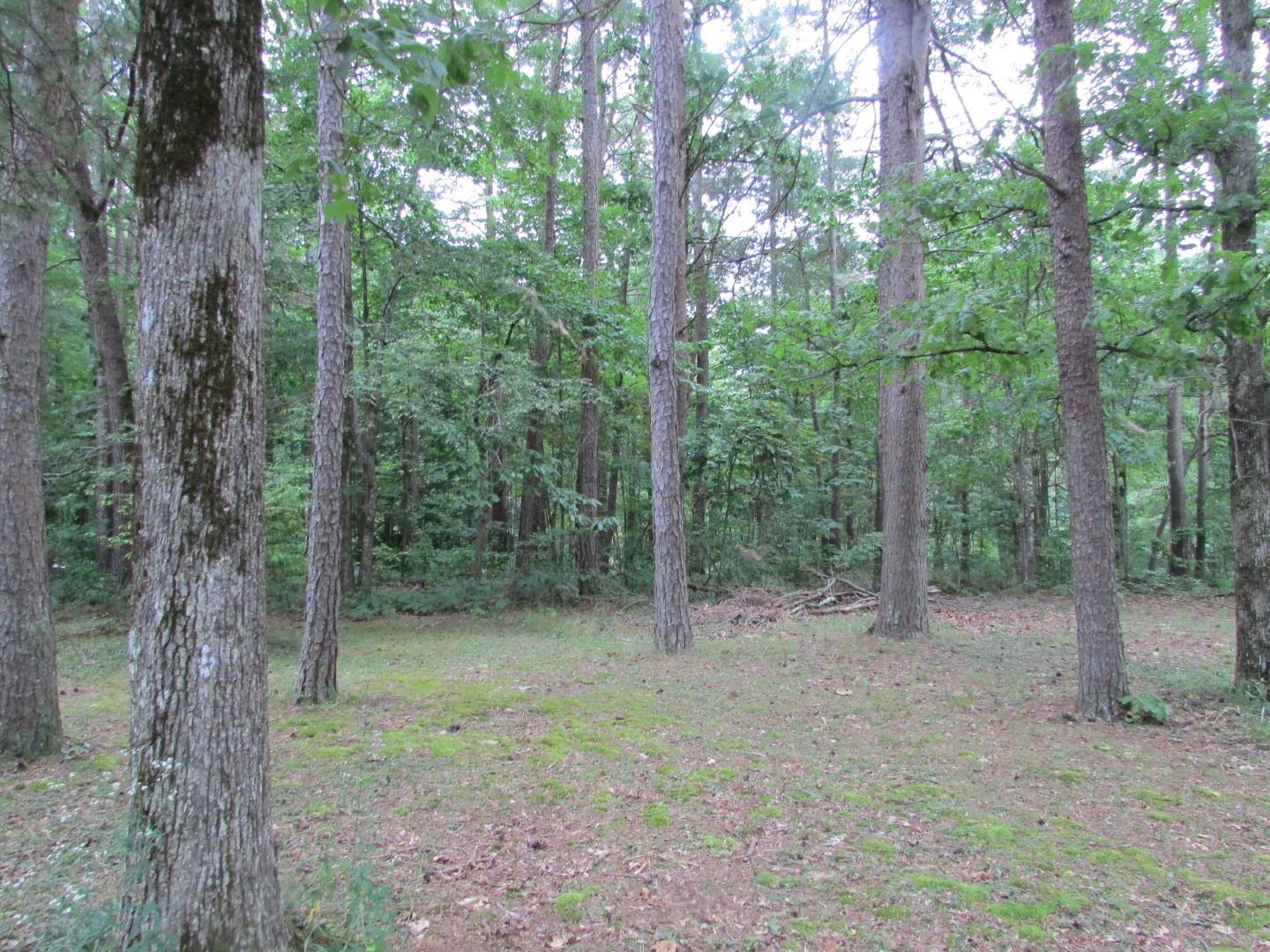 630 Colony Road Coalmont, TN 37313 - Photo 11 of 12 Gallery Image 11