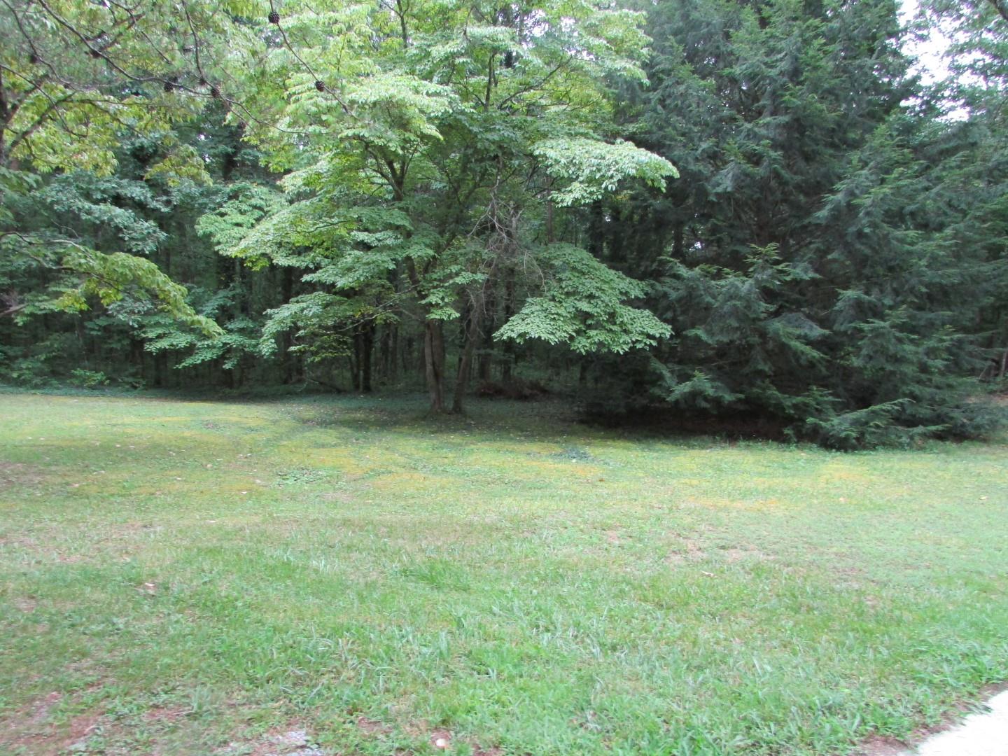 630 Colony Road Coalmont, TN 37313 - Photo 12 of 12 Gallery Image 12