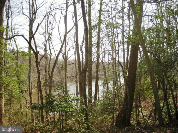8434 Mackall Road St. Leonard, MD 20685 - Photo 3 of 4 Beautiful view from Acreage