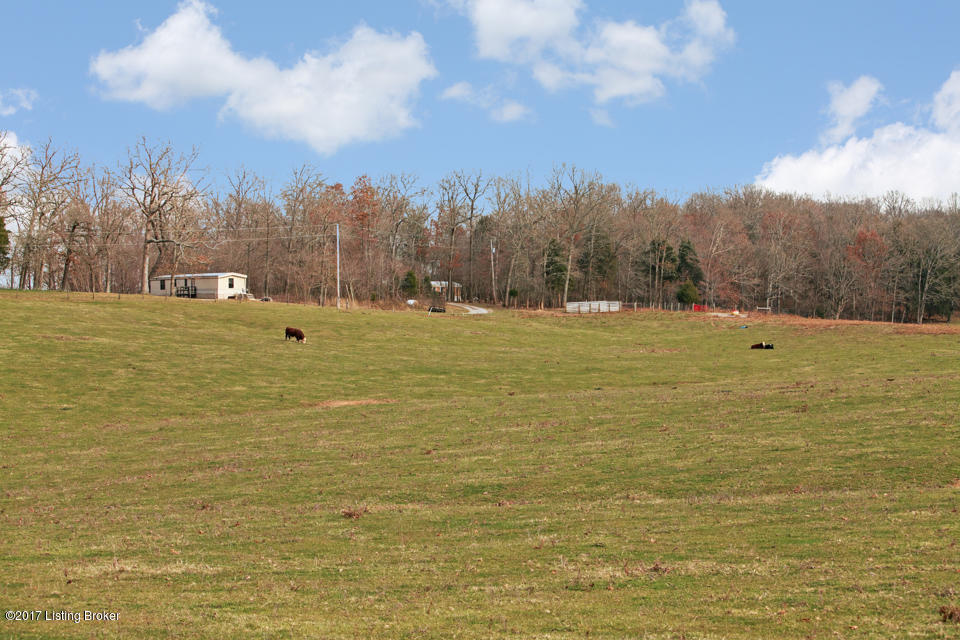 1090 Sirocco Road Brandenburg, KY 40108 - Photo 70 of 74 RBW_5198