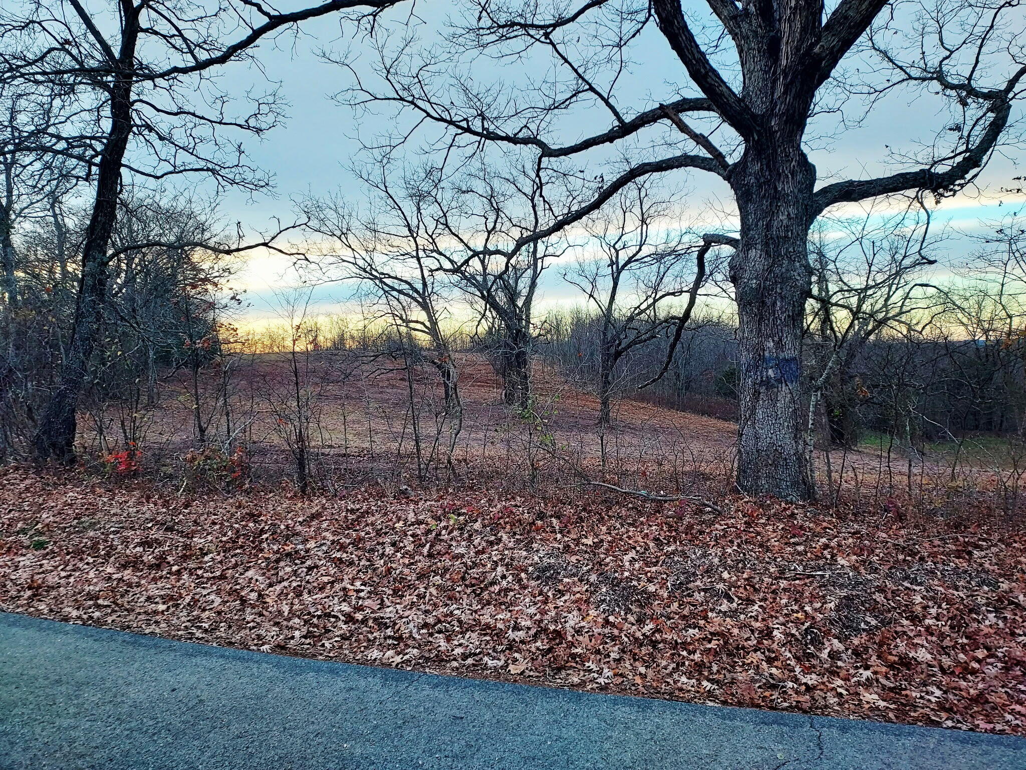 9015 Stallion Bluff Road Shell Knob, MO 65747 - Photo 29 of 49 4810bh