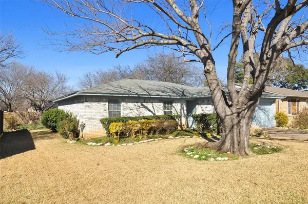 a view of a yard with a tree