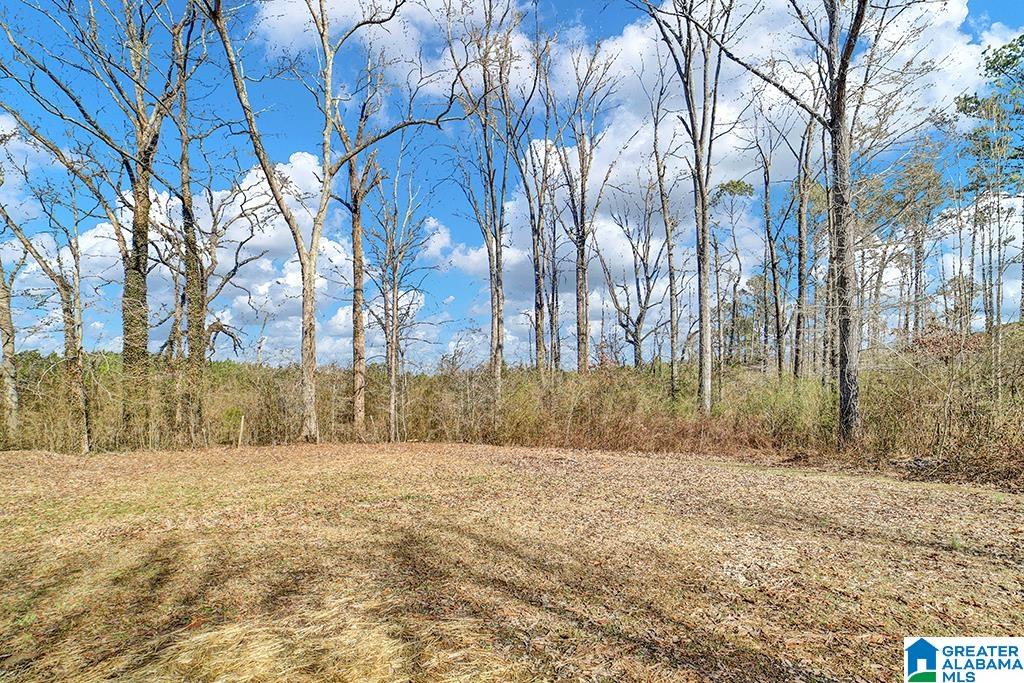 90 Buddy Lane Springville, AL 35146 - Photo 27 of 27