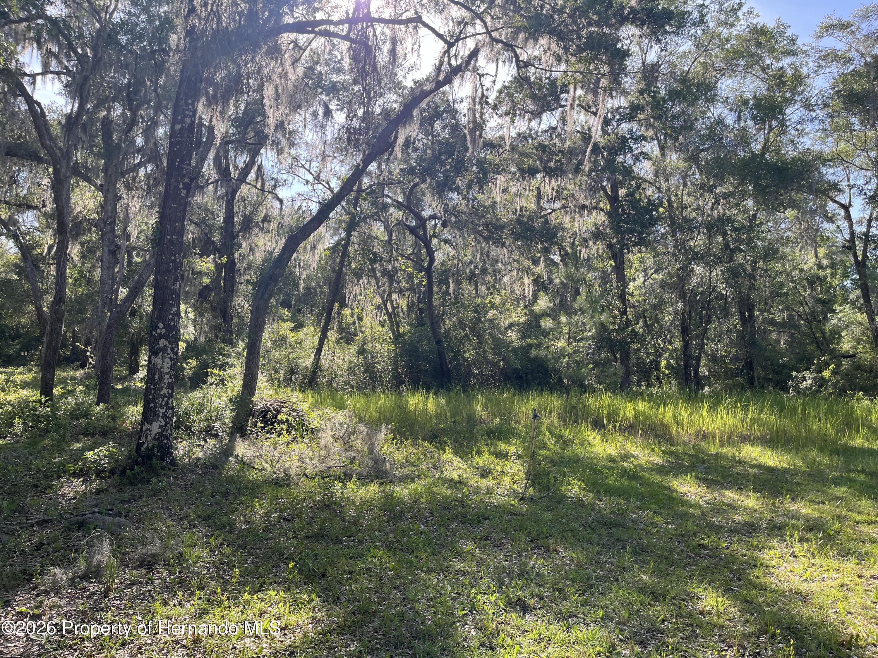16305 Wiscon Road Brooksville, FL 34601 - Photo 15 of 33 Gallery Image 15