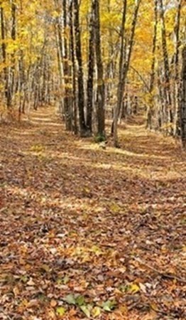 57-81 Purgatory Road Sutton, MA 01590 - Photo 2 of 3 a view of swimming pool next to a building
