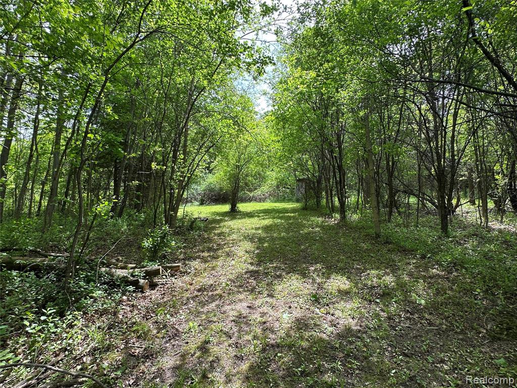 6161 East River Road Flushing, MI 48433 - Photo 37 of 63