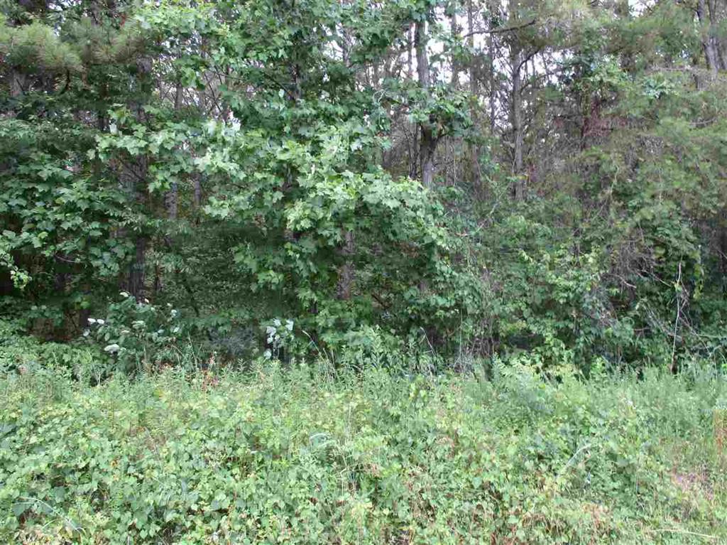 272-280 Co Road Niota, TN 37826 - Photo 14 of 23 20163737-13