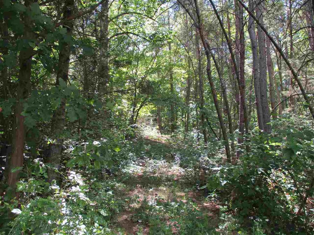 272-280 Co Road Niota, TN 37826 - Photo 22 of 23 20163737-22