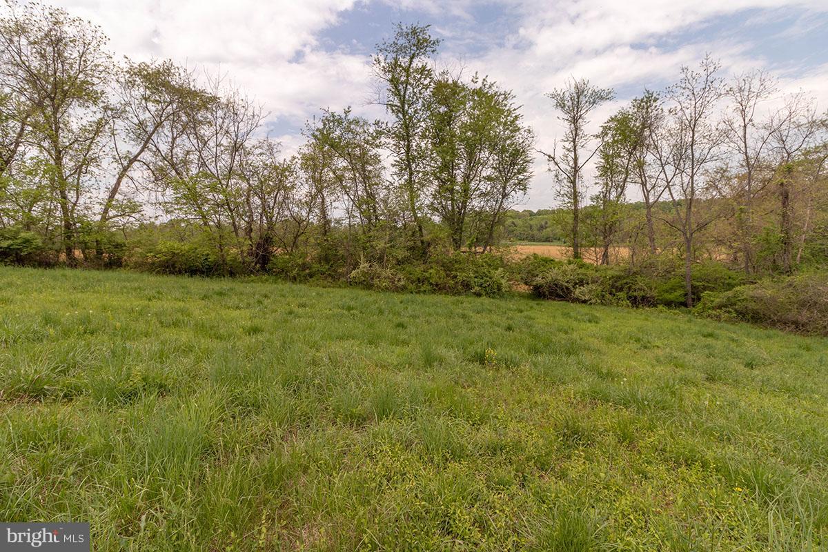 17700 Barnesville Road Dickerson, MD 20842 - Photo 13 of 24 Exterior (General)