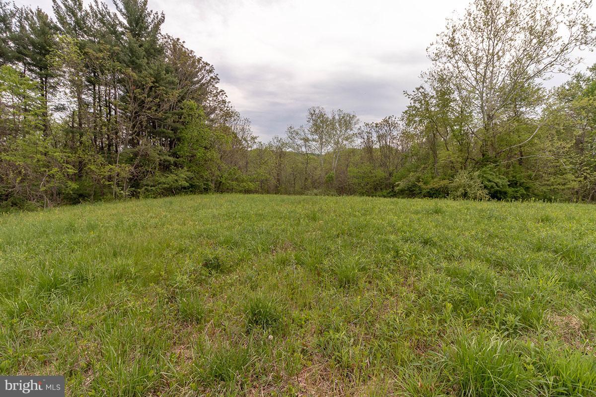 17700 Barnesville Road Dickerson, MD 20842 - Photo 15 of 24 Exterior (General)