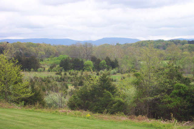 565 Mill Race Road Verona, VA 24482 - Photo 2 of 29 Gallery Image 2