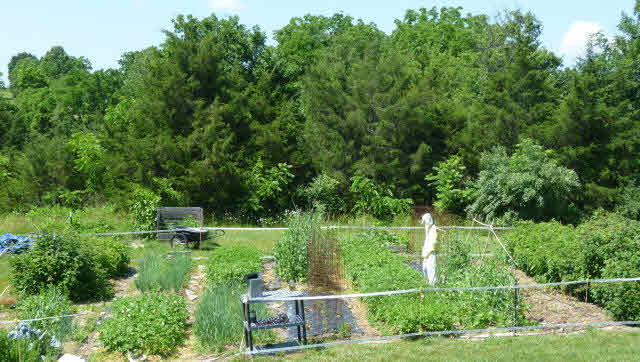 565 Mill Race Road Verona, VA 24482 - Photo 28 of 29 Gallery Image 28