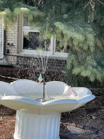 a view of fountain in the backyard