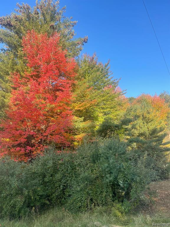 0 Mill Road Dryden, MI 48428 - Photo 18 of 18