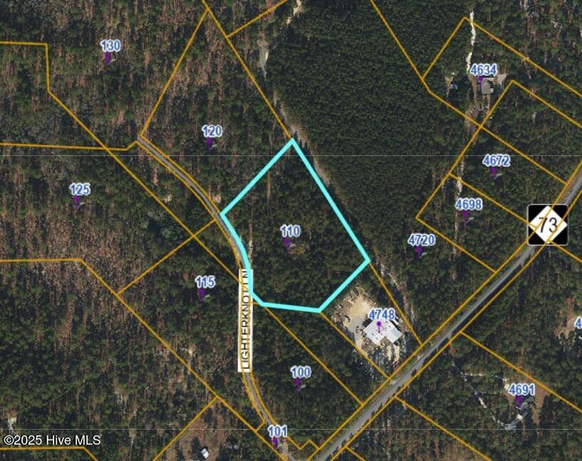 110 Lighterknot Lane West End, NC 27376 - Photo 16 of 25 Overhead