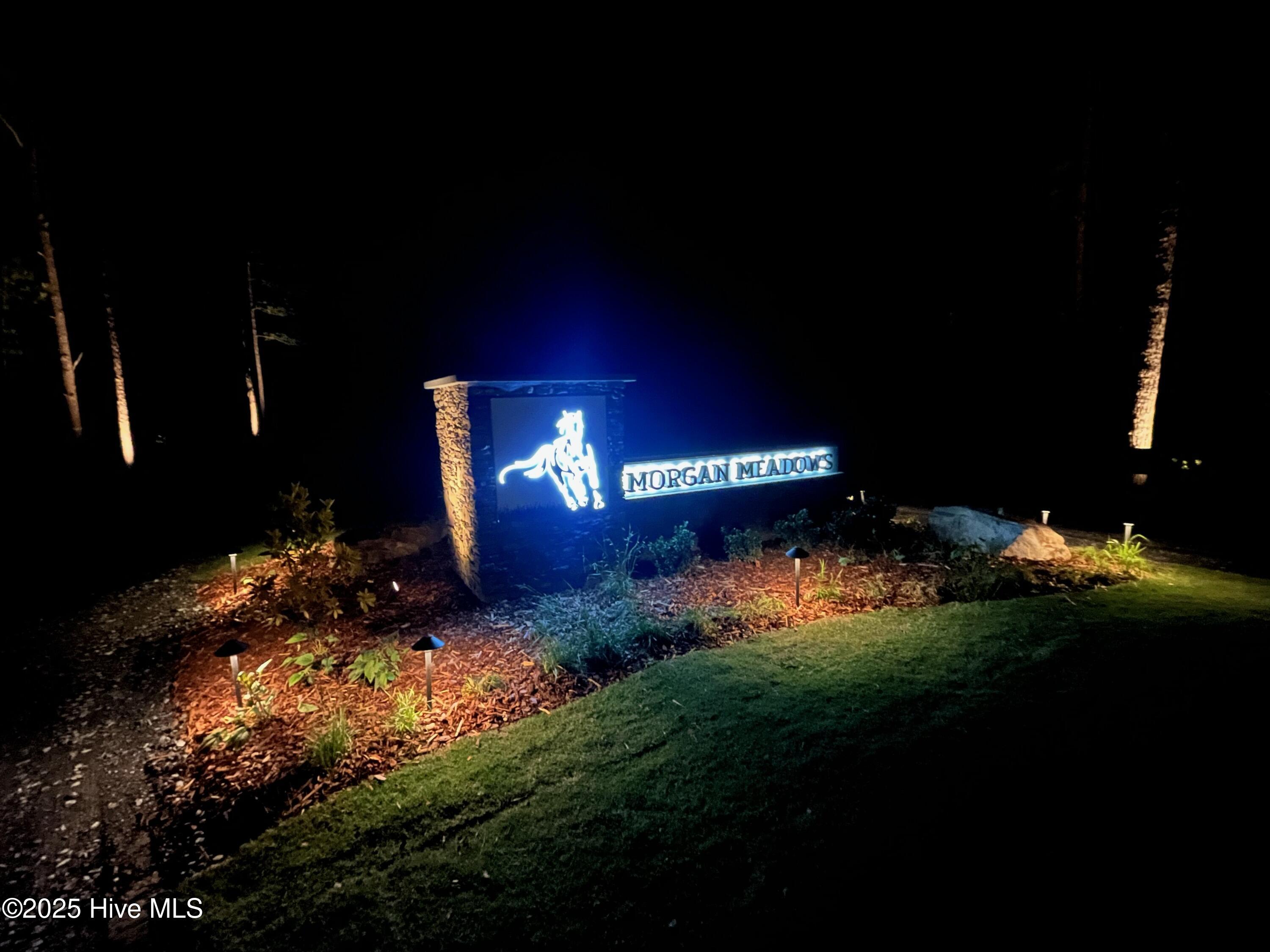 110 Lighterknot Lane West End, NC 27376 - Photo 17 of 25 5188746731214004473