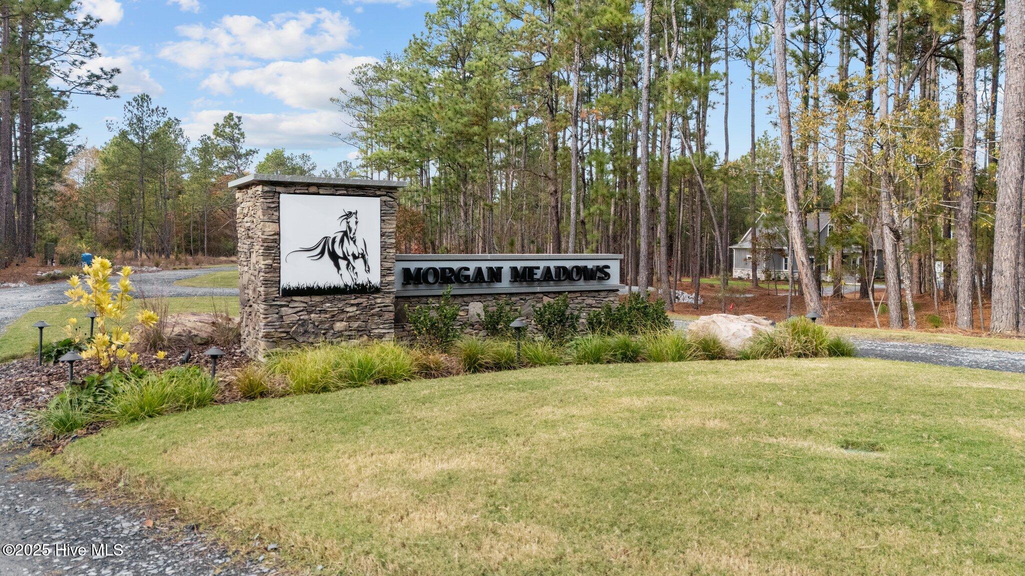 110 Lighterknot Lane West End, NC 27376 - Photo 2 of 25 74l