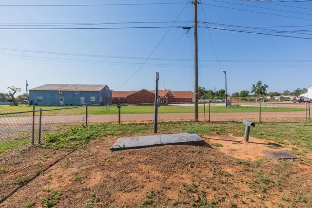 a view of a park with plants