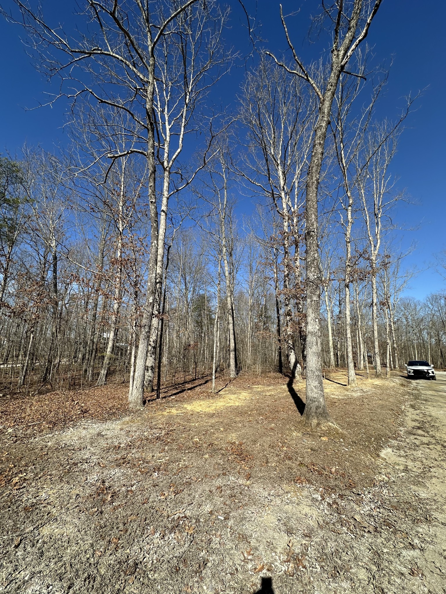 222 Sunset Blf Way Monteagle, TN 37356 - Photo 3 of 8 a view of empty room with trees