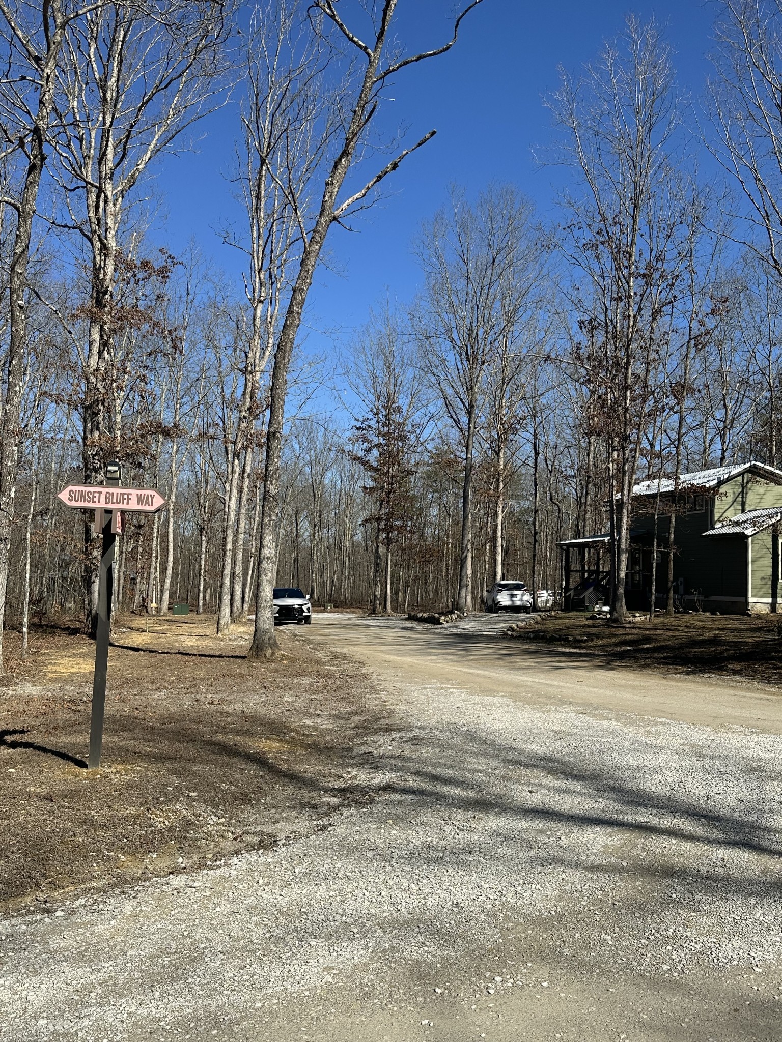 222 Sunset Blf Way Monteagle, TN 37356 - Photo 4 of 8 a view of street with houses
