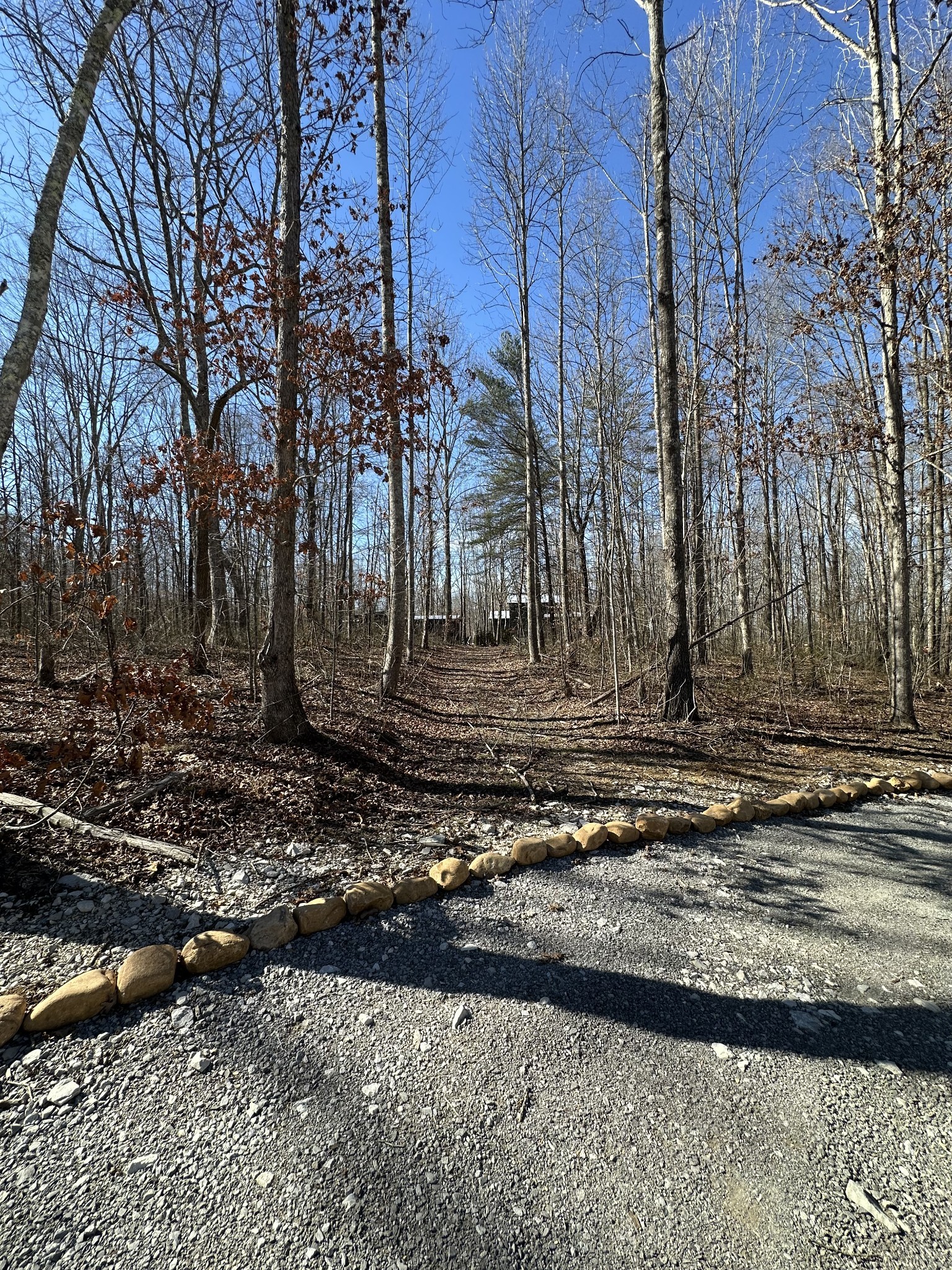 222 Sunset Blf Way Monteagle, TN 37356 - Photo 5 of 8 a view of a backyard of the house