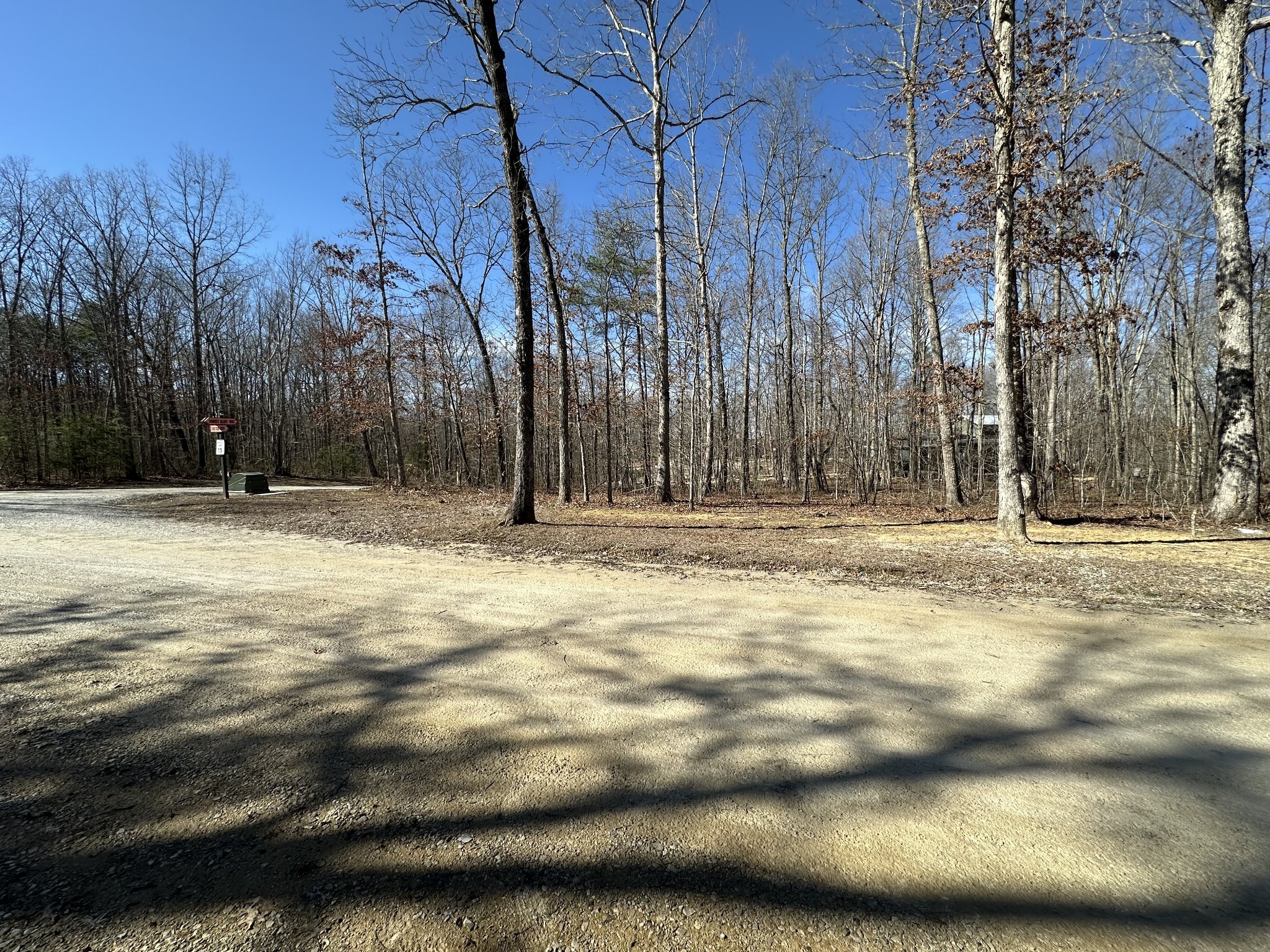 222 Sunset Blf Way Monteagle, TN 37356 - Photo 6 of 8 a view of outdoor space with trees