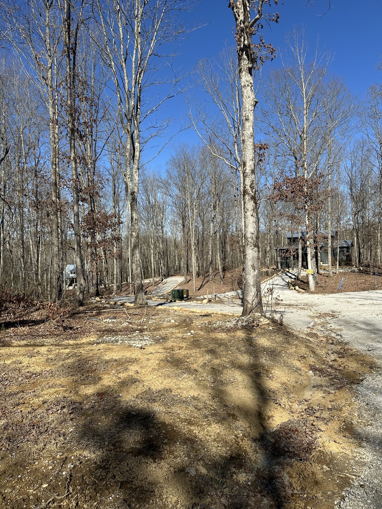 222 Sunset Blf Way Monteagle, TN 37356 - Photo 7 of 8 a view of city view