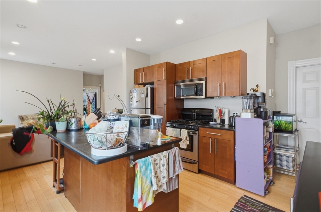 26 Chestnut Avenue, Unit 1 Boston, MA 02130 - Photo 5 of 24