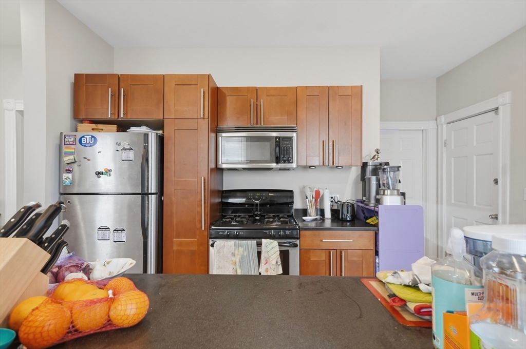 26 Chestnut Avenue, Unit 1 Boston, MA 02130 - Photo 6 of 24