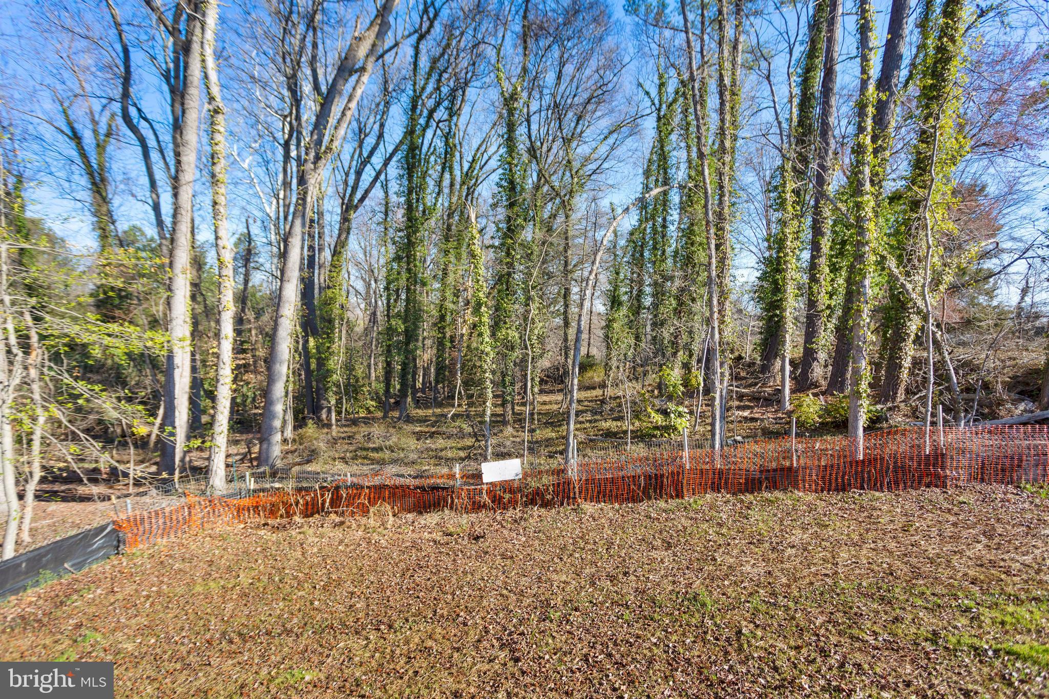 1600 Collingwood Road Alexandria, VA 22308 - Photo 43 of 44 Gallery Image 43