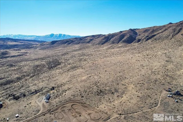 a view of a large tree