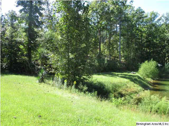 1082 Camp Winnataska Road Pell City, AL 35128 - Photo 4 of 14