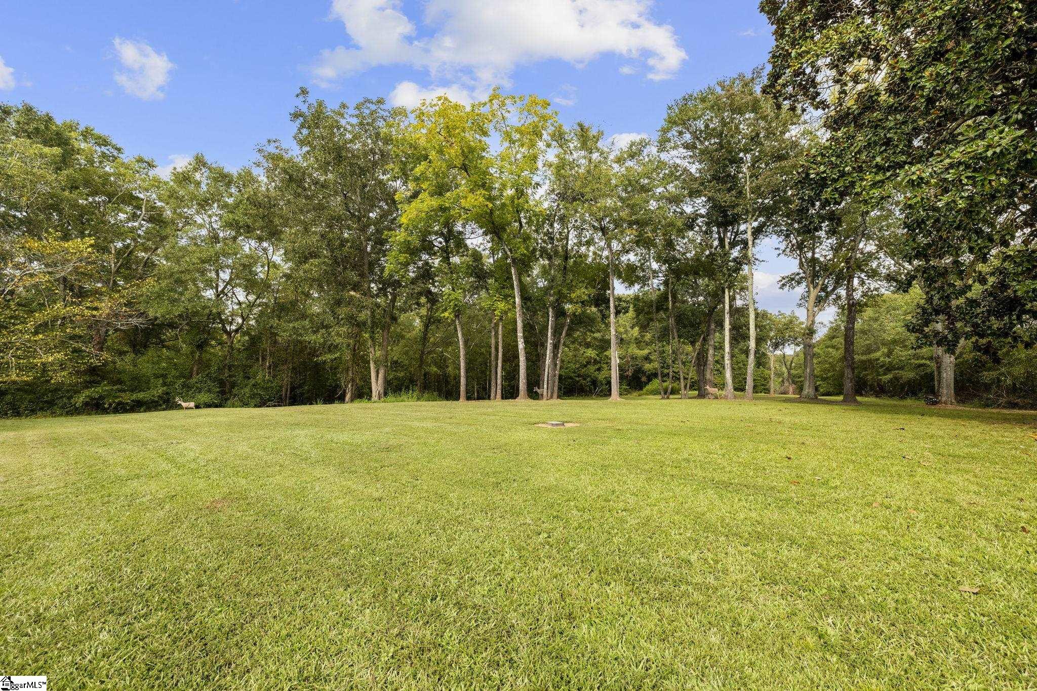 1613 Abercrombie Road Fountain Inn, SC 29644 - Photo 47 of 49