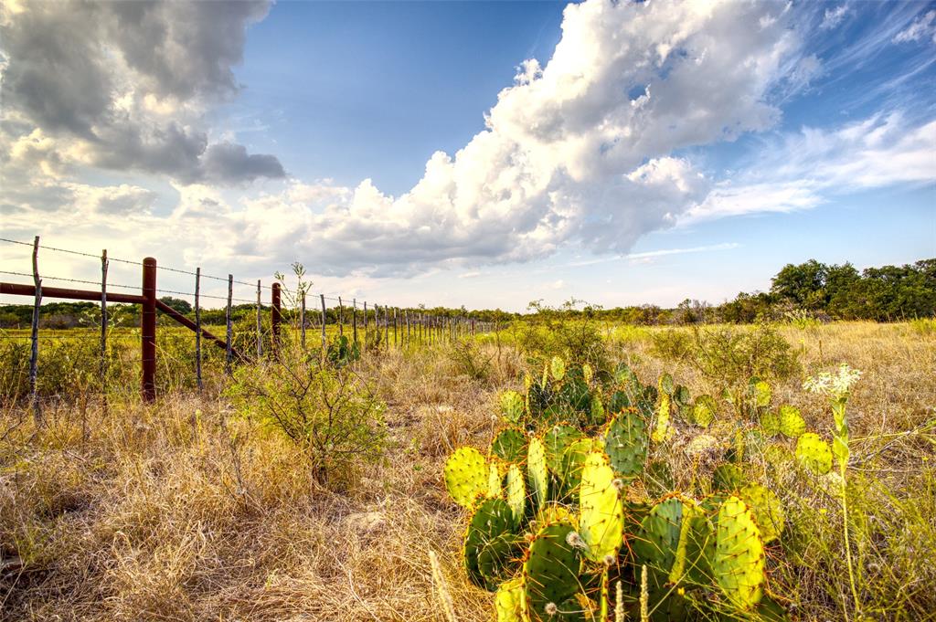 2525 Dodson Pr Road Gordon, TX 76453 - Photo 22 of 31 a view of a lake view