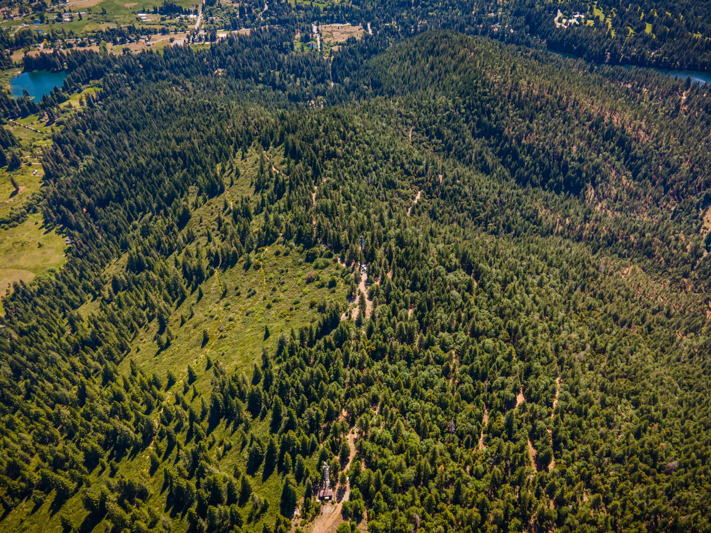 North Shore Road Mount Shasta, CA 96067 - Photo 5 of 21 228 Acres 12
